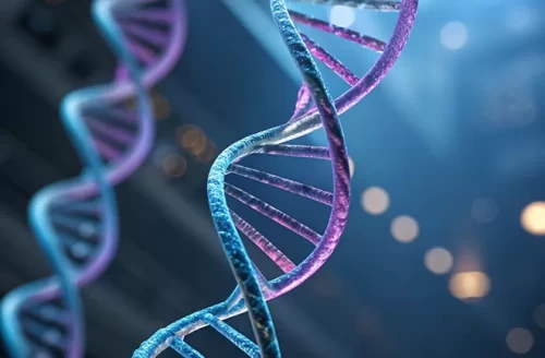 Optical Products in Biotechnology