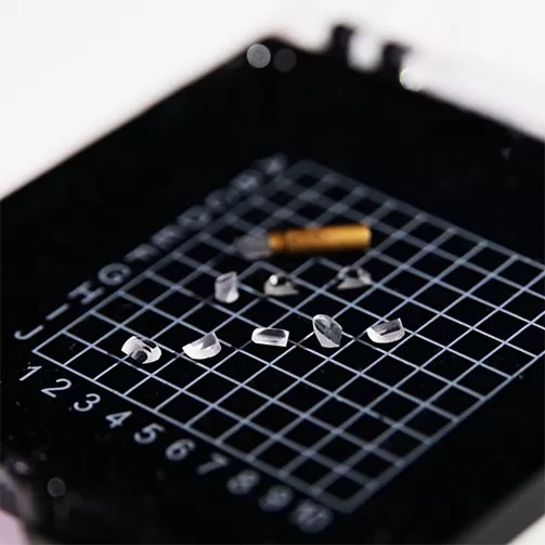 Principles of Endoscopy Principles of Endoscopy