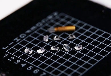 Principles of Endoscopy